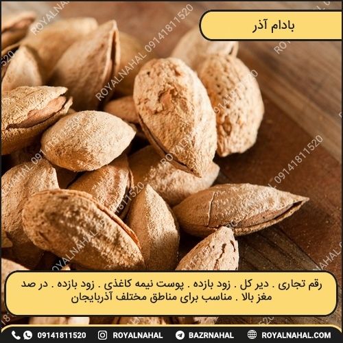 خرید نهال بادام آذر