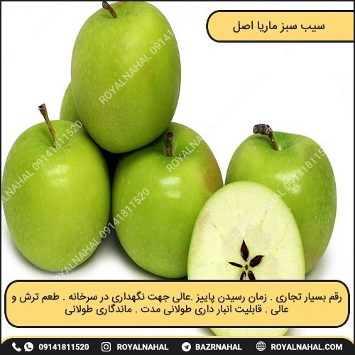 خرید نهال سیب سبز ماریا اصل