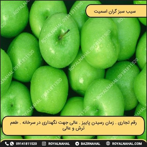 خرید نهال سیب سبز گران اسمیت 