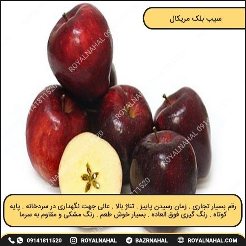 خرید نهال سیب بلک مریکال