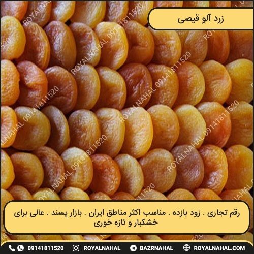 خرید نهال زرد آلو قیصی