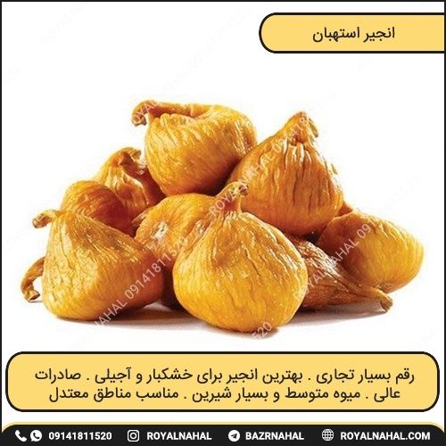 خرید نهال انجیر استهبان 