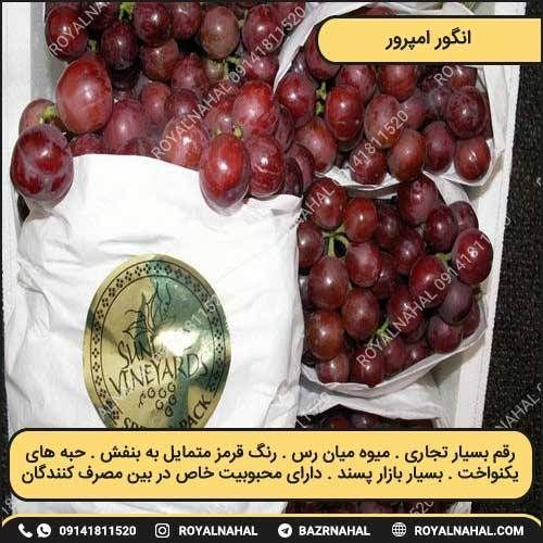 خرید نهال انگور امپرور