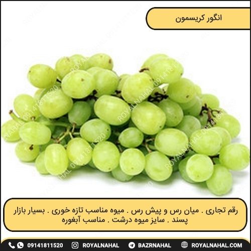 خرید نهال انگور کریسمون