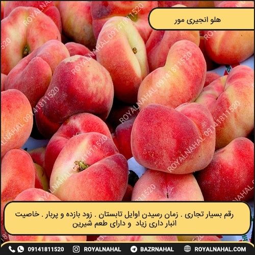 خرید نهال هلو انجیری مور