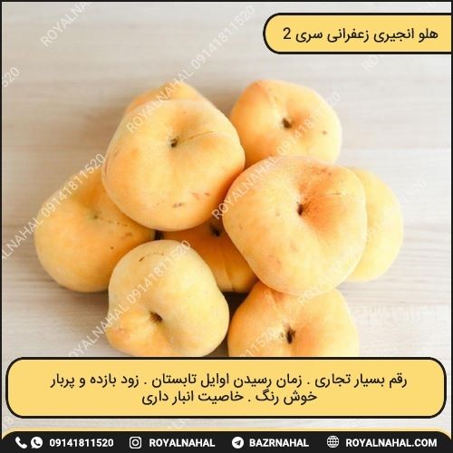 خرید نهال هلو انجیری زعفرانی سری 2