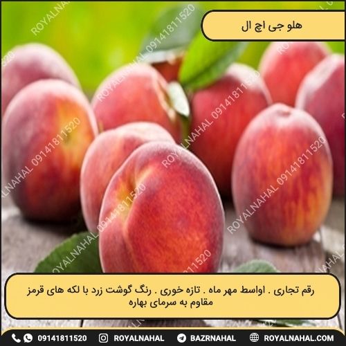خرید نهال هلو جی اچ ال
