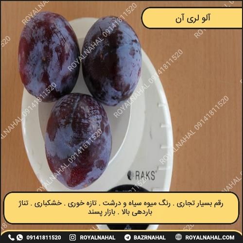 خرید نهال آلو لری آن