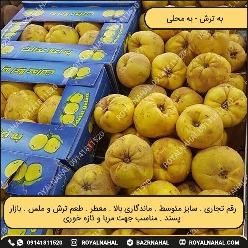 خرید نهال به ترش (به محلی)