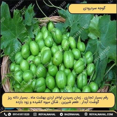 خرید نهال گوجه سردرودی