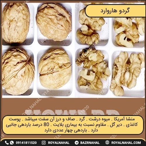 خرید نهال گردو هاروارد