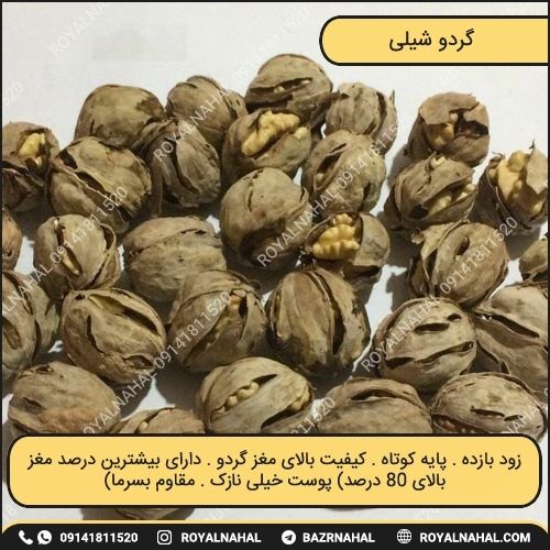خرید نهال گردو شیلی